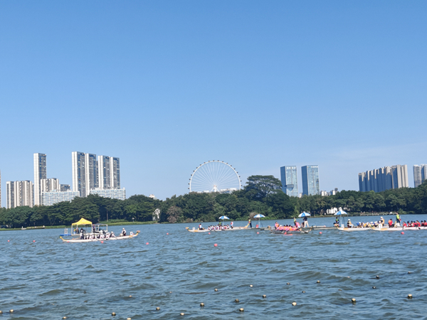IMG_20241002_150833_1.jpg